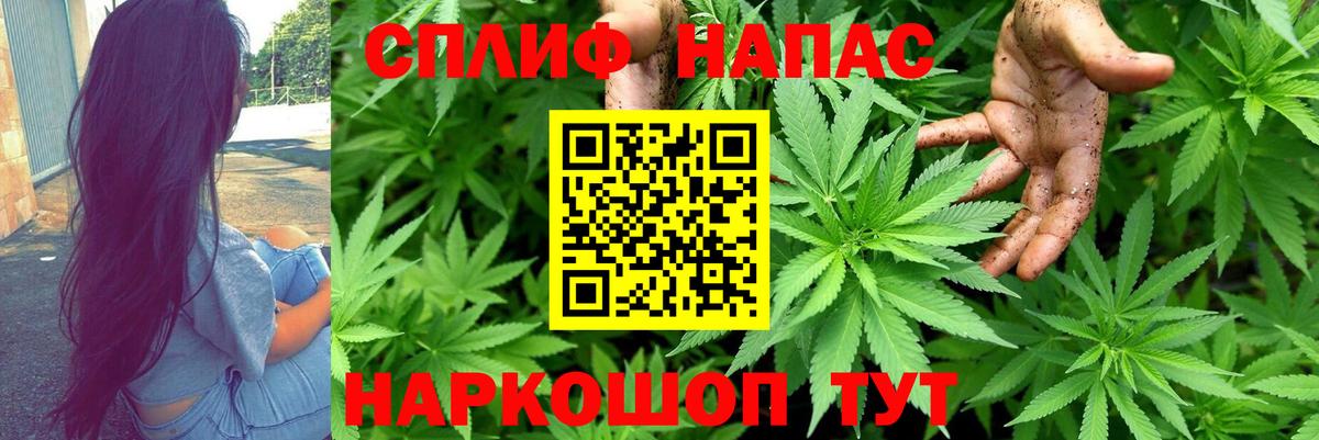 Бошки марихуана марихуана  Вход с VPN  Бошки Шишки Amnesia  Конопля планчик  Бошки марихуана SATIVA & INDICA  Ногинск 